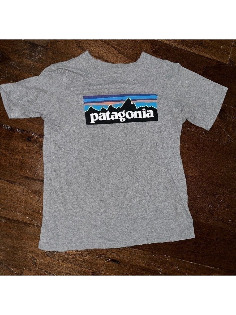 Patagonia Fitz Roy Logo Gray T-Shirt Youth
XL / Women's XS - Picture 2 of 4